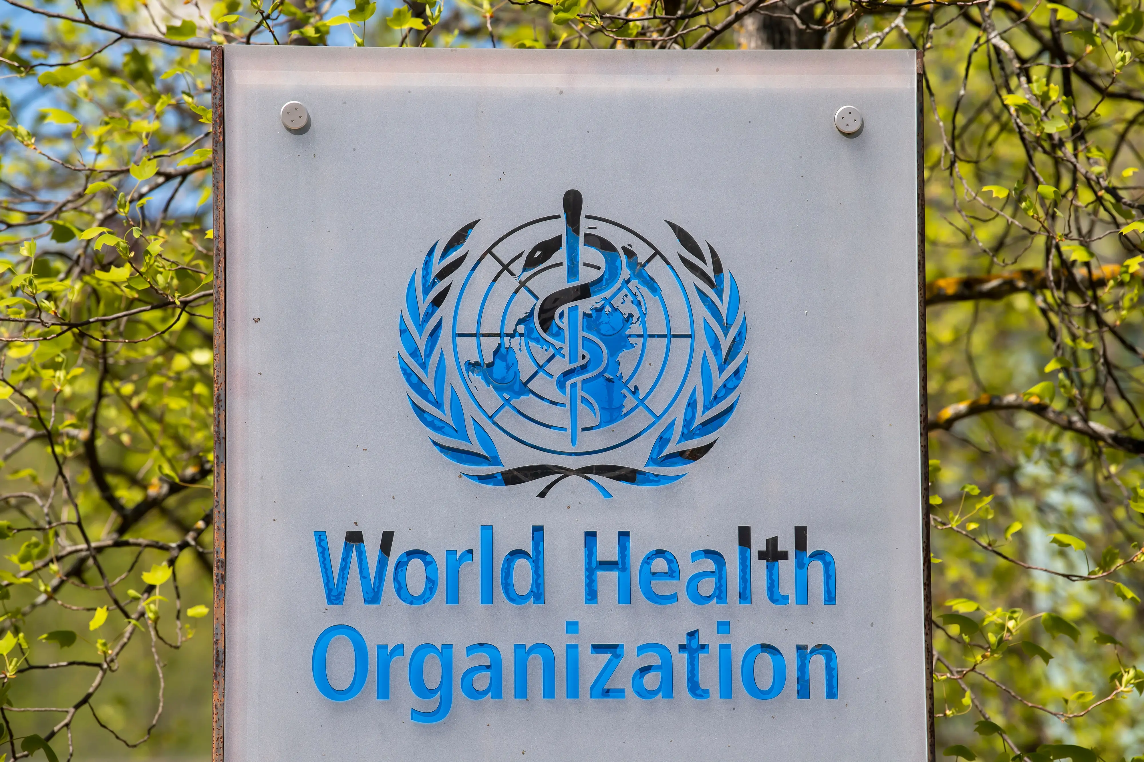 World Health Organization | Photo: Martial Trezzini/Keystone via AP