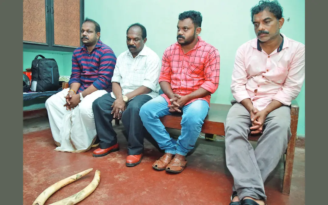 ആനക്കൊമ്പുമായി പിടിയിലായ ബാബു, മനോജ്, അനിൽകുമാർ, ഉമേഷ്