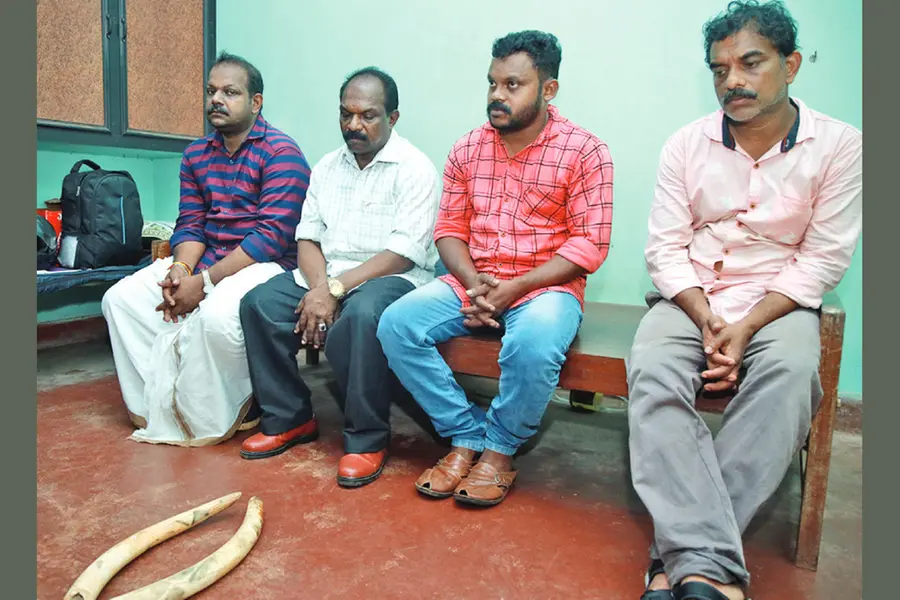 വിൽക്കാൻ കൊണ്ടുവന്ന ആനക്കൊമ്പുമായി നാലുപേർ പിടിയിൽ