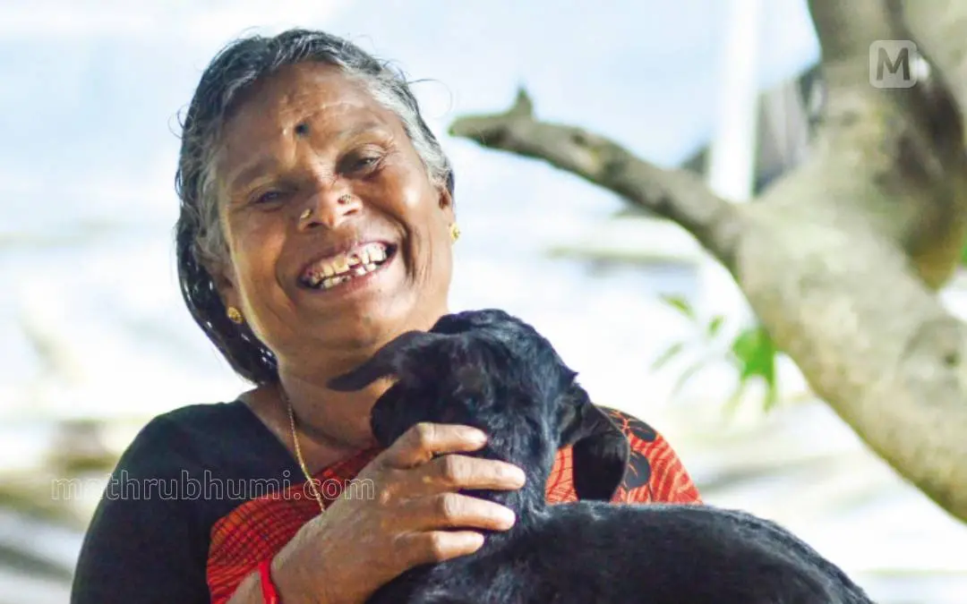 നഞ്ചിയമ്മ | ഫോട്ടോ: അരുൺ കൃഷ്ണൻകുട്ടി \ മാതൃഭൂമി