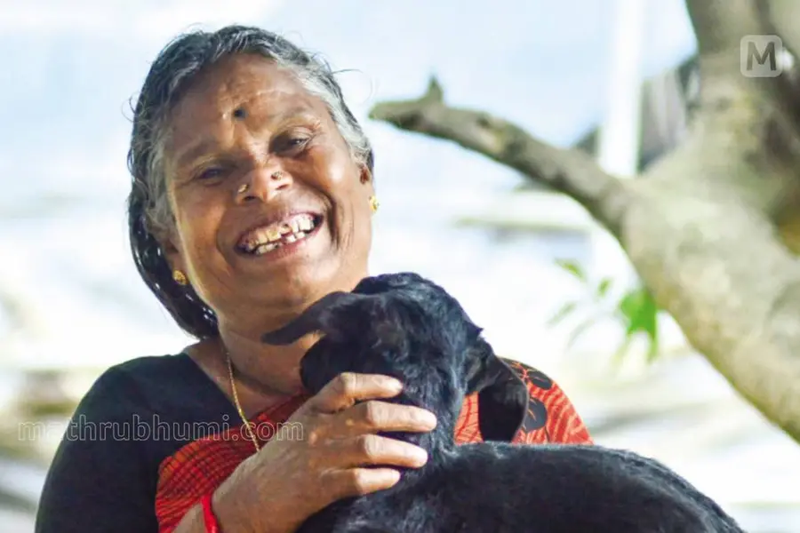 ഗോത്രപാരമ്പര്യത്തിന്റെ പാറക്കല്ലുരഞ്ഞുണ്ടായ പാട്ടുകനലിന്റെ പേരുകൂടിയാണ് നഞ്ചിയമ്മ