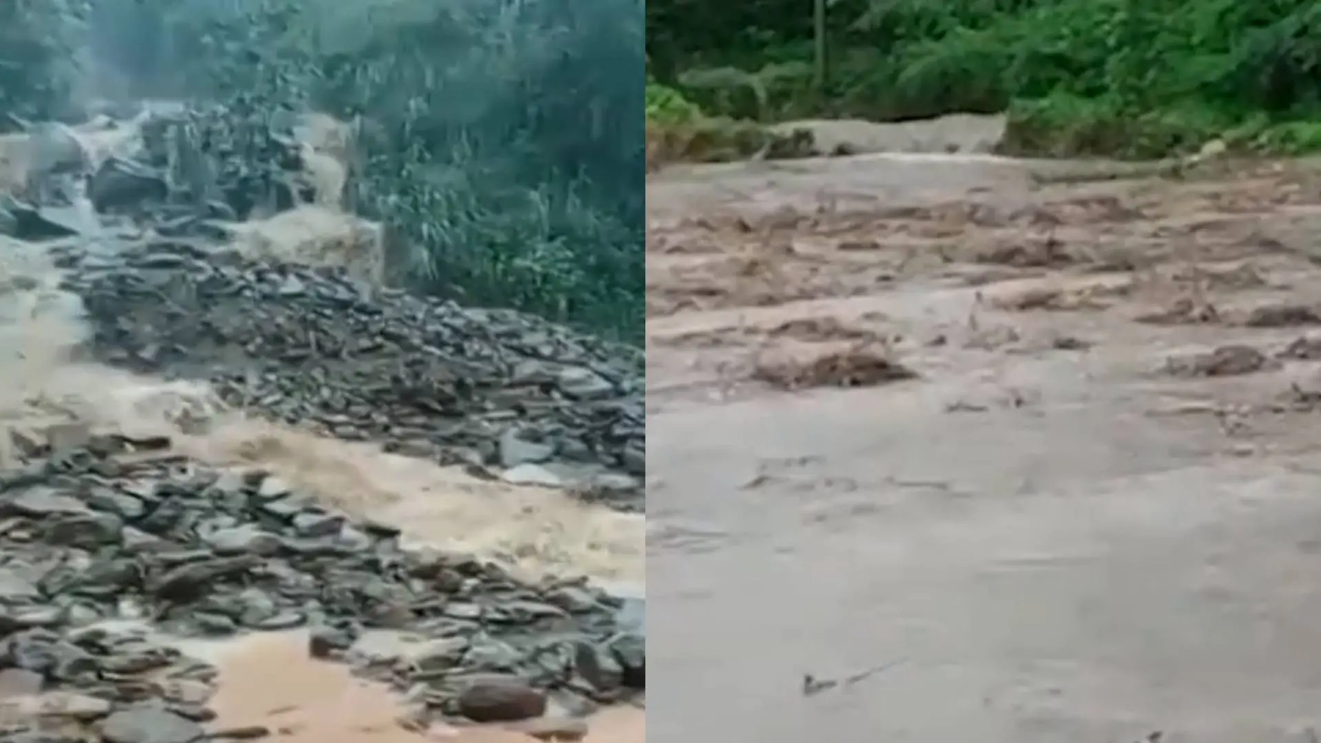 Photo: Screengrab/ മാതൃഭൂമി ന്യൂസ്