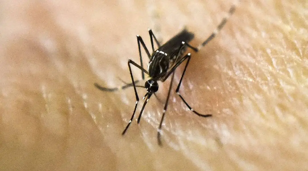 ഫോട്ടോ: എ.എഫ്.പി