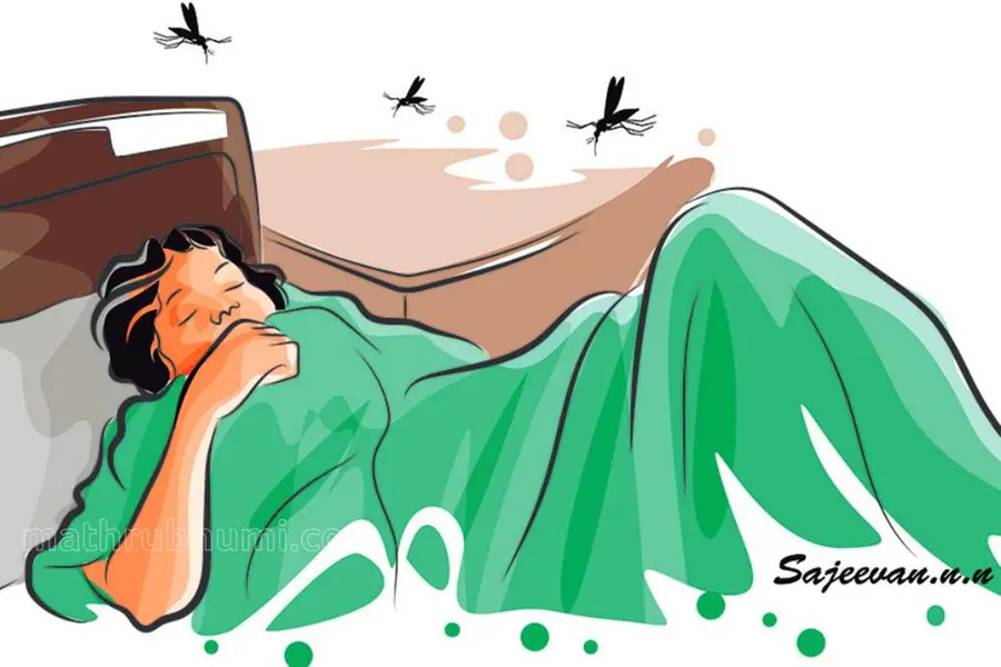 പ്രളയാനുബന്ധ പകര്ച്ചവ്യാധികള്ക്കെതിരെ അതീവ ജാഗ്രത- മന്ത്രി വീണാ ജോര്ജ്