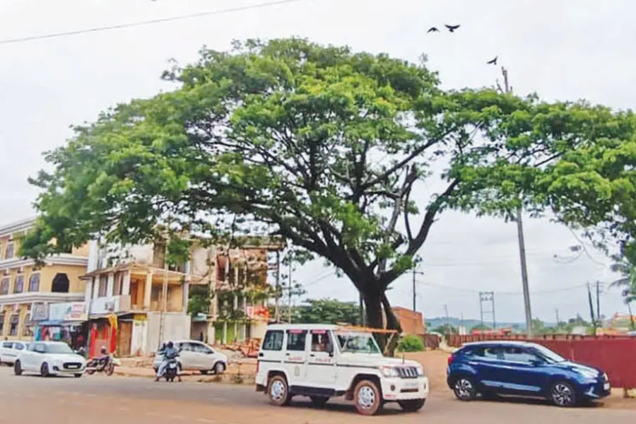 ഇവിടെ വികസനം കാത്തുനിൽക്കും; ഈ കുഞ്ഞുങ്ങൾക്ക് ചിറക് മുളയ്ക്കുംവരെ