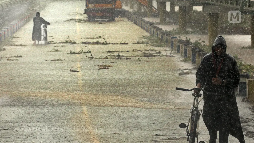 ഫോട്ടോ: അഖില്.ഇ.എസ്/മാതൃഭൂമി