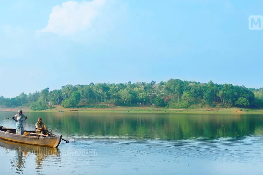 ശാസ്താംകോട്ട തടാകത്തിലെ മത്സ്യസമ്പത്ത് മൂന്നിലൊന്നായി കുറഞ്ഞു