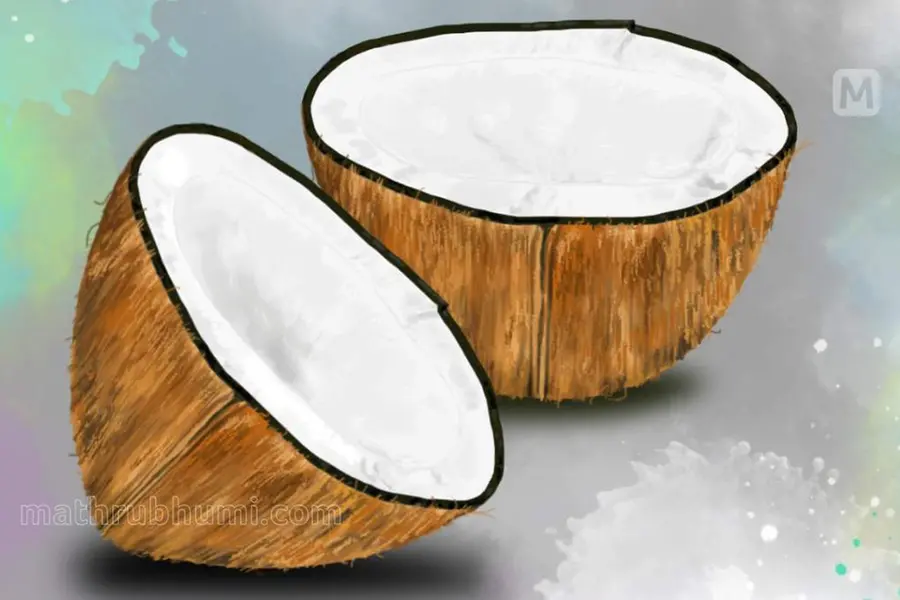 ചിരട്ടയില് നിന്ന് തേങ്ങ എളുപ്പത്തില് വേര്പ്പെടുത്താം; ടിപ്സുമായി ഷെഫ് വികാസ് ഖന്ന