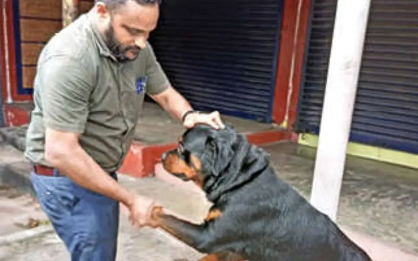 കലവൂർ ബസ് സ്റ്റാൻഡിലെ കടത്തിണ്ണയിൽ ഉപേക്ഷിക്കപ്പെട്ട റോട്ട്വീലർ നായയെ കലവൂർമൃഗാശുപത്രിയിലെ ഡോക്ടർ ജിം കിഴക്കൂടൻ പരിപാലിക്കുന്നു