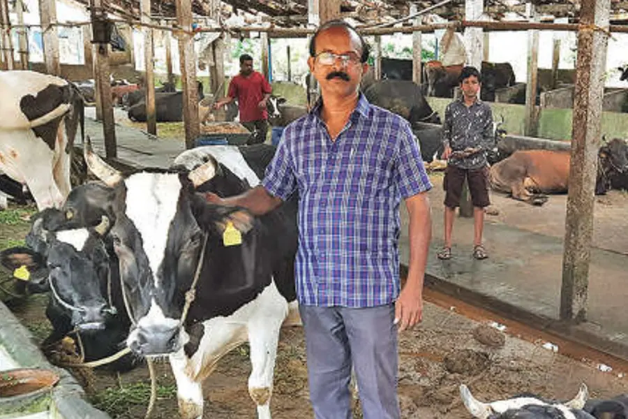 ഇവിടം സ്വർഗമാണ്...പന്ത്രണ്ടേക്കറില് സമ്മിശ്ര കൃഷിയുമായി സെബി