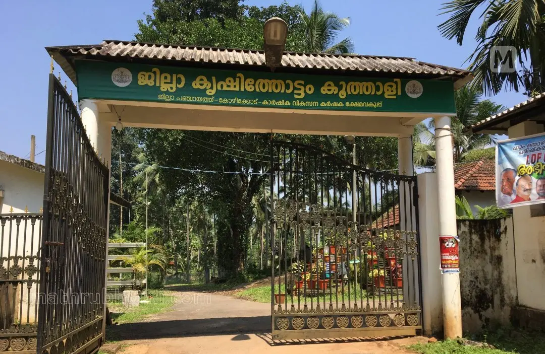 പഴയ കൂത്താളി എസ്റ്റേറ്റ്, ഇന്നിത് ജില്ലാ കൃഷിത്തോട്ടത്തിന്റെ ഭാഗമാണ്.