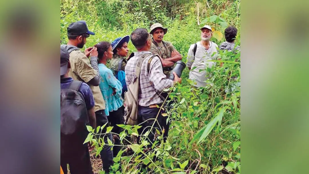 കോവിഡ് കാലത്തിനുമുന്പ് കൊച്ചിയിൽനടന്ന 'ബേർഡ് റേസ്' (ഫയൽ ചിത്രം) | മാതൃഭൂമി