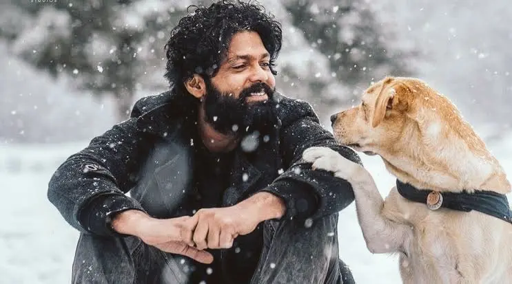 777 ചാർലിയുടെ പോസ്റ്റർ | ഫോട്ടോ: twitter.com/rakshitshetty