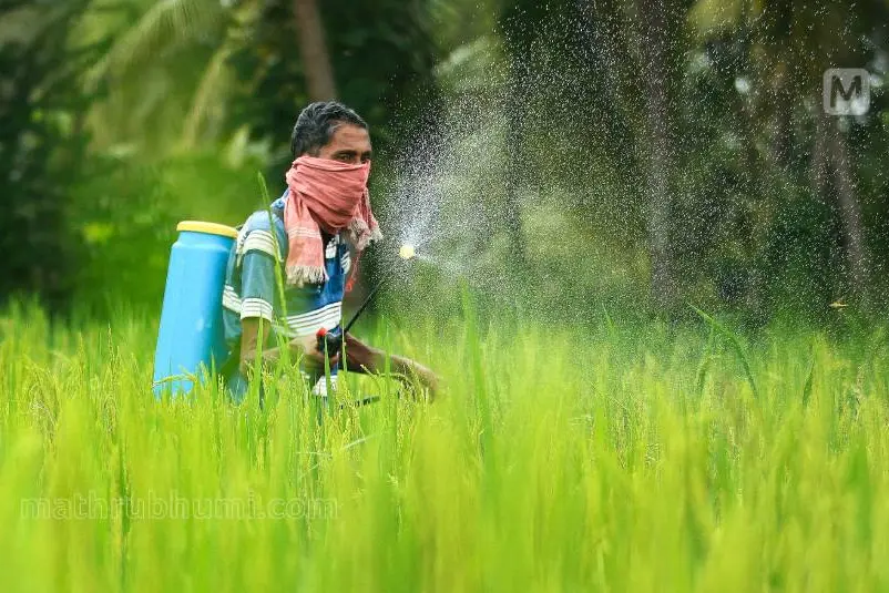 കീടനാശിനികളുടെ ഉപയോഗം കുറയ്ക്കാനുള്ള ആഗോളലക്ഷ്യം അനാവശ്യം -ഭൂപേന്ദര് യാദവ്
