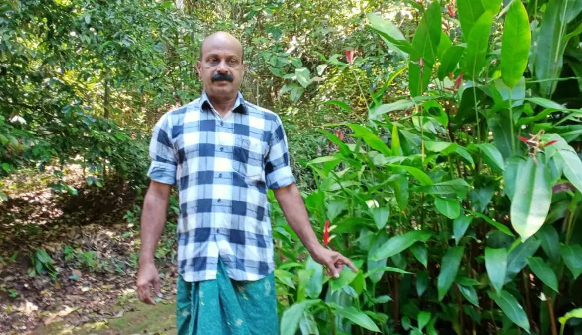 താനൊരുക്കിയ വനത്തിനുള്ളില് ബുള്ഭേന്ദ്രന്