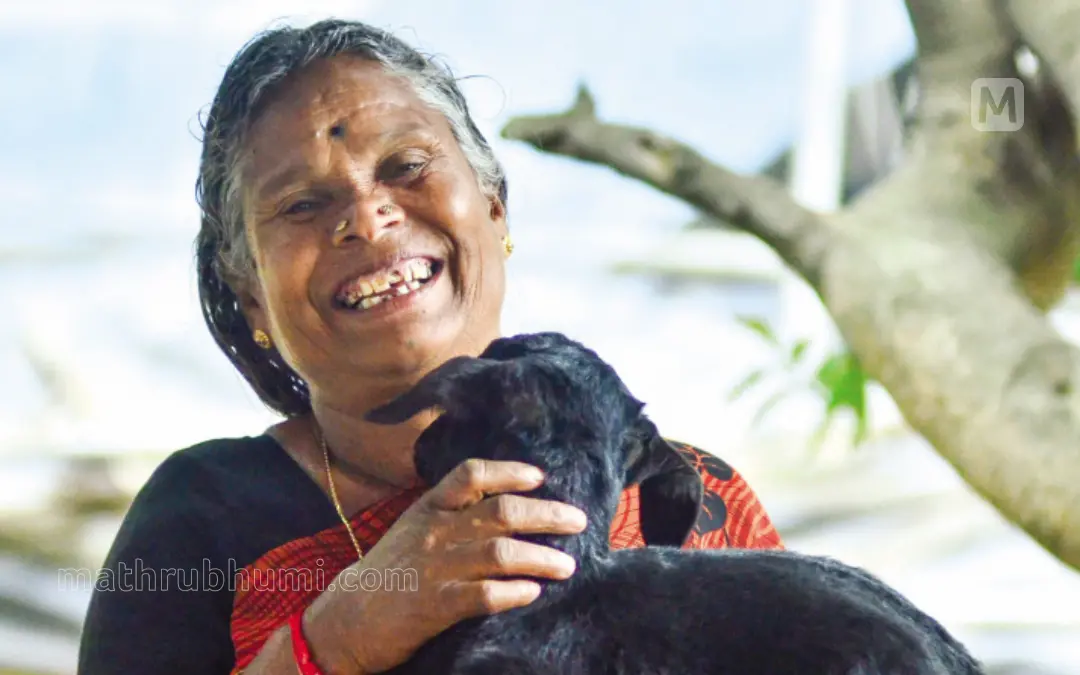 നഞ്ചിയമ്മ | ഫോട്ടോ: അരുൺ കൃഷ്ണൻകുട്ടി \ മാതൃഭൂമി