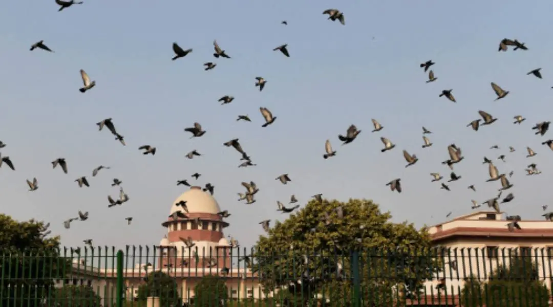 Photo: PTI