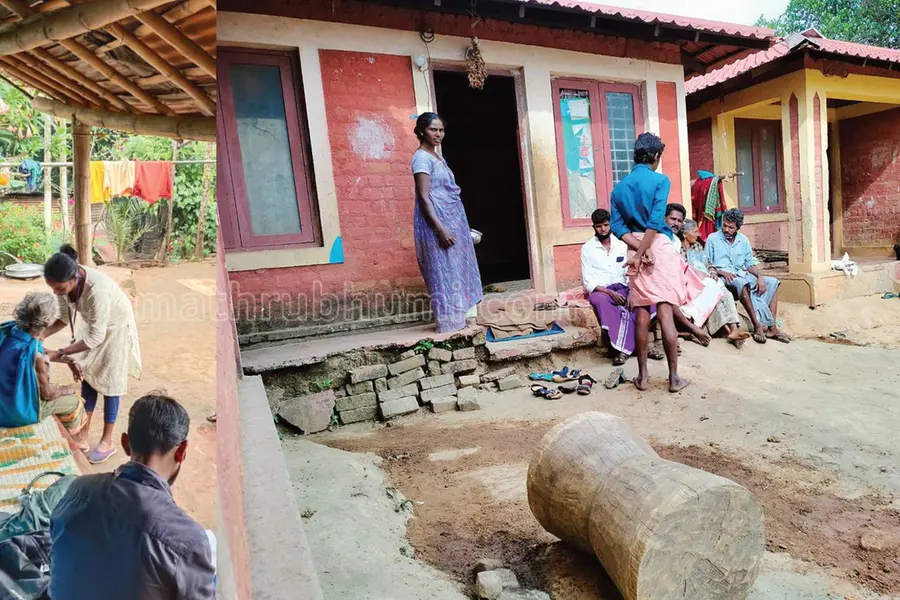 'ശരിക്കും തീ തിന്നു...'; തുണിമഞ്ചലിൽ സുമതിയെ ചുമന്നു പാഞ്ഞത് അഞ്ചുപേർ, ഊരിലെ ദുരിതം, രക്ഷകയായി പ്രിയ
