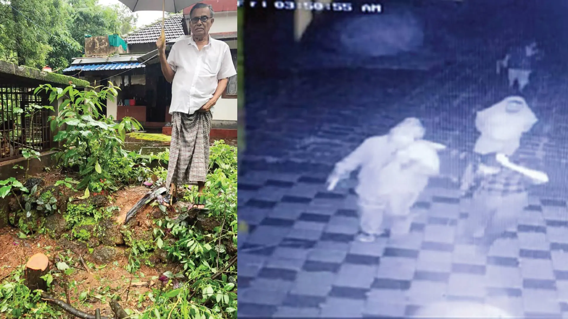 • മോഷണംപോയ ചന്ദനമരത്തിന്റെ കുറ്റിയുടെ സമീപം കെ.കുഞ്ഞിരാമൻ, മോഷണസംഘത്തിന്റെ സി.സി.ടി.വി. ദൃശ്യം