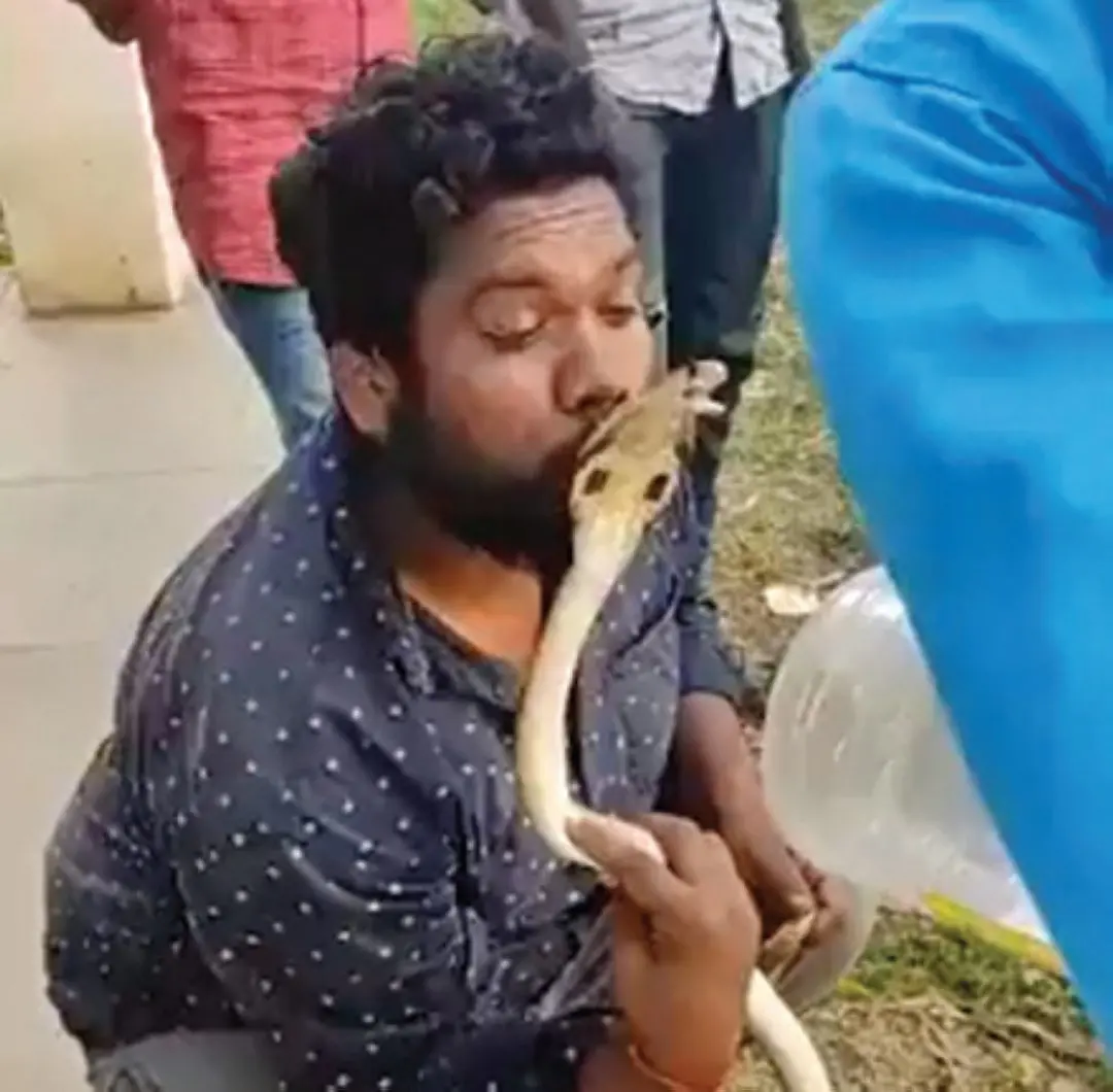 മൂര്ഖന് പാമ്പിന്റെ തലയില് ചുംബിച്ച അലക്സ്
