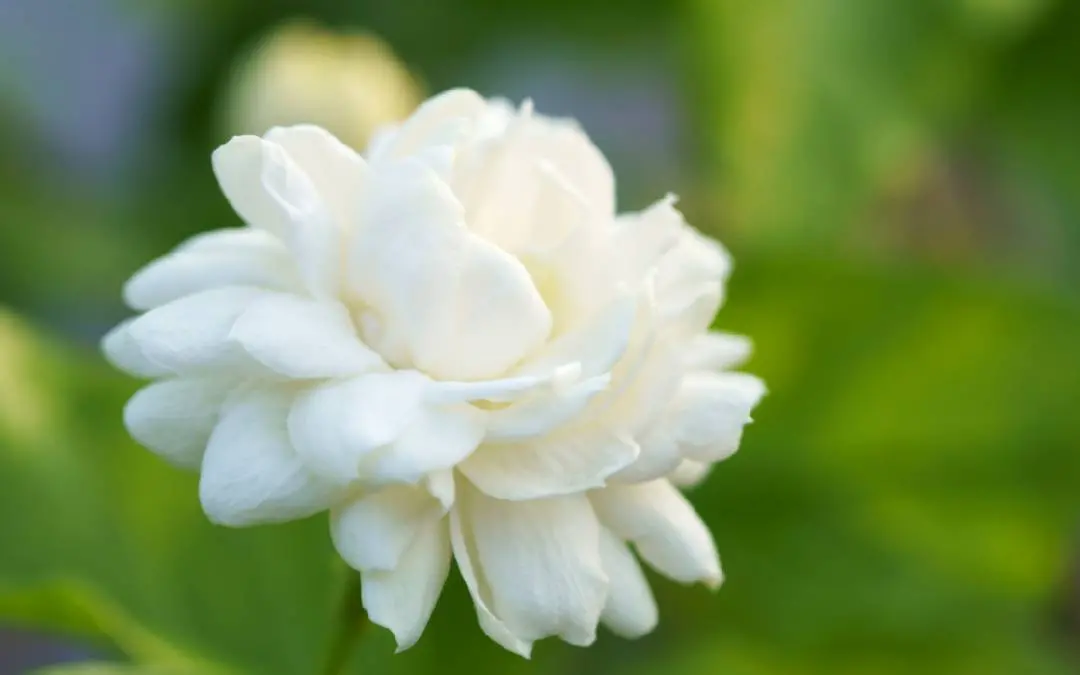 Representative Image | Photo: Canva.com