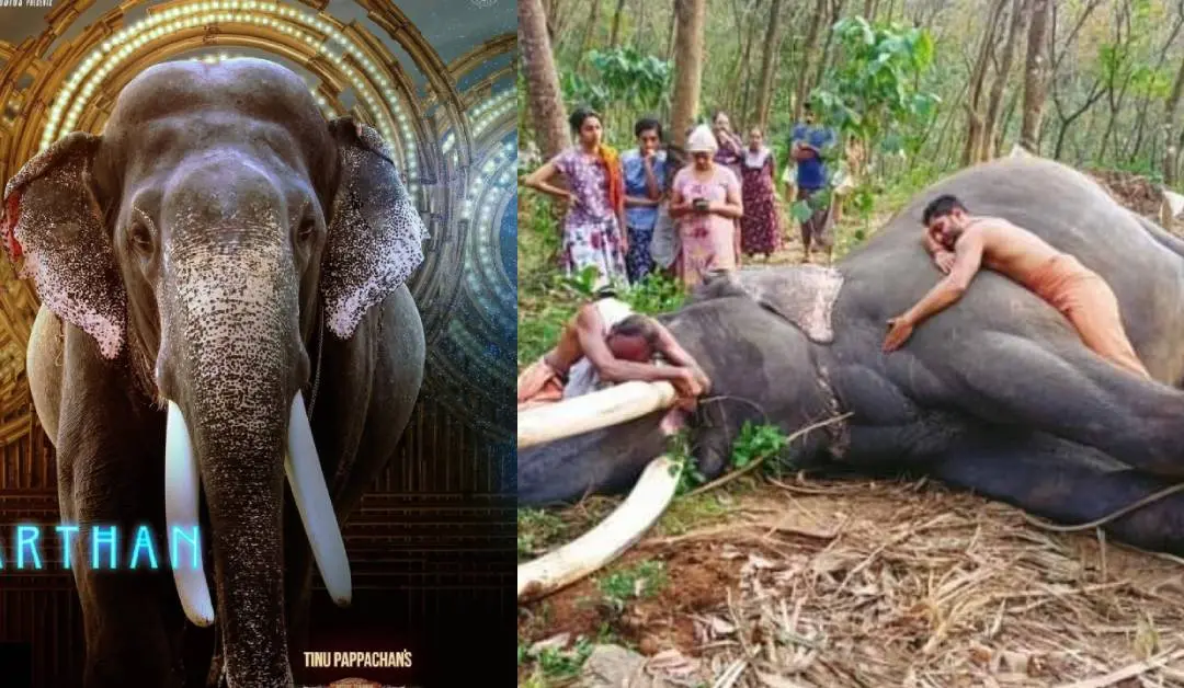 നടക്കല്‍ ഉണ്ണികൃഷ്ണന്‍, നടക്കല്‍ ഉണ്ണികൃഷ്ണന്റെ മൃതദേഹത്തെ കെട്ടിപ്പിടിച്ച് പാപ്പാന്‍മാര്‍ കരയുന്നു