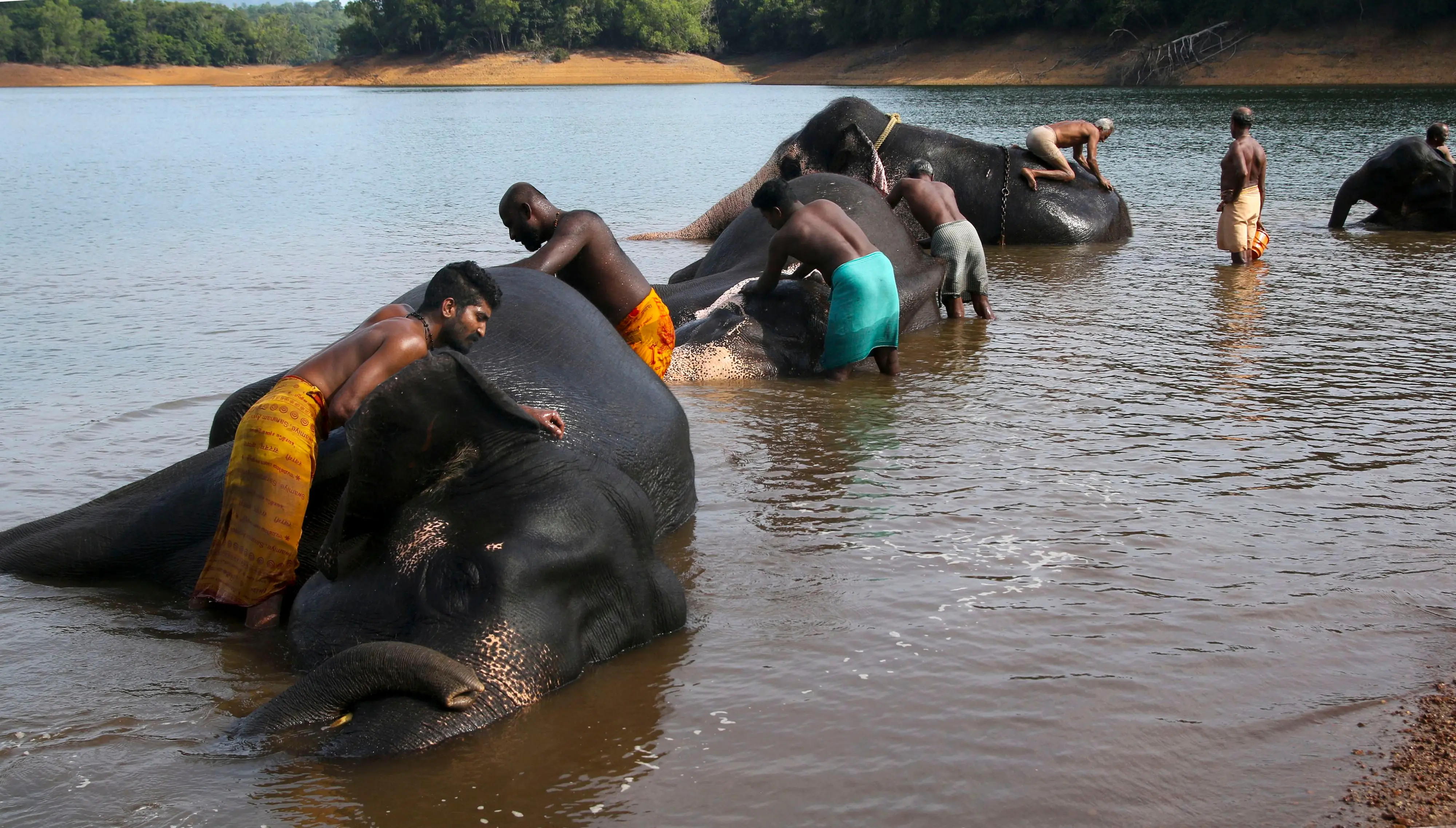 പ്രതീകാത്മകചിത്രം | File Photo: PTI