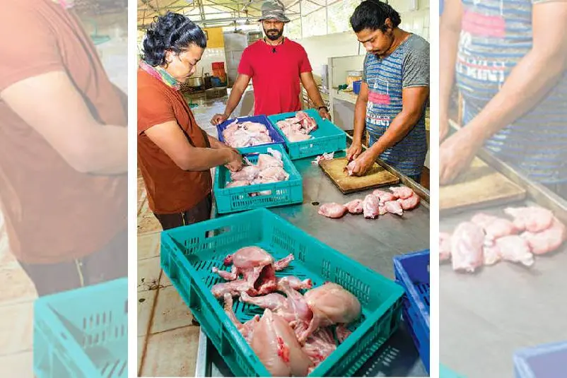 ഓട്ടോമൊബൈലില്നിന്ന് അഗ്രിബിസിനസിലേക്ക്, ഒടുവില് സംസ്ഥാന അവാര്ഡും! മാതൃക കാട്ടി മാത്തുക്കുട്ടി