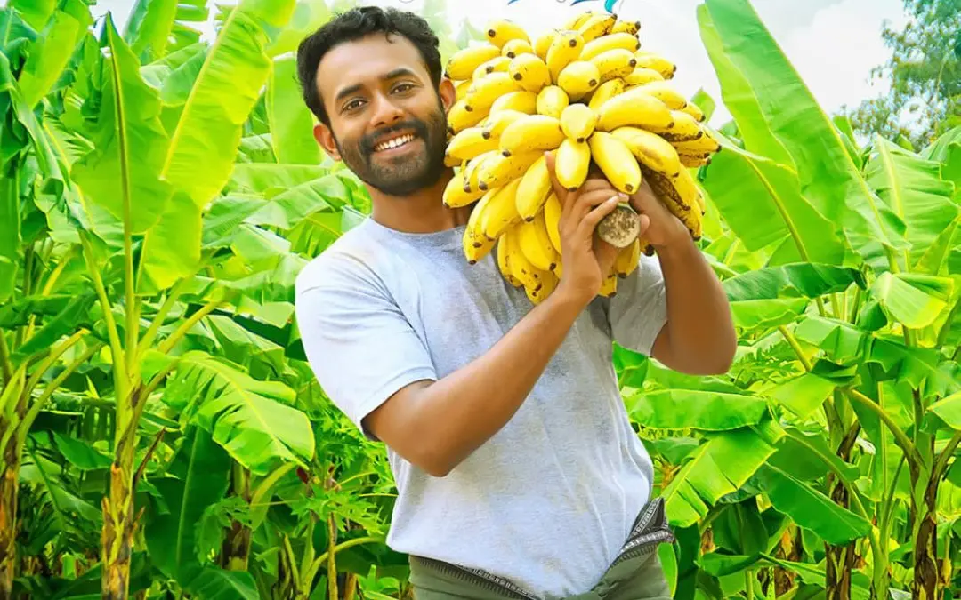 തീപ്പൊരി ബെന്നിയിൽ അർജുൻ അശോകൻ