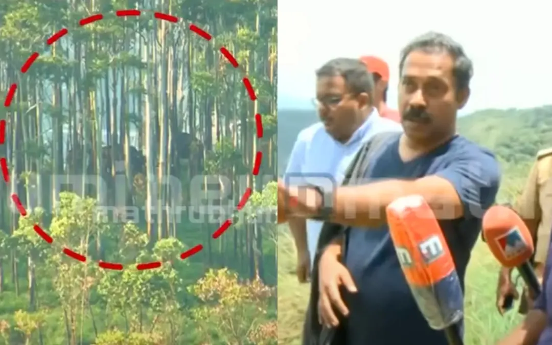 കാട്ടാനക്കൂട്ടം, ഡോ. അരുണ് സക്കറിയ | Photo: Screen grab/ Mathrubhumi News
