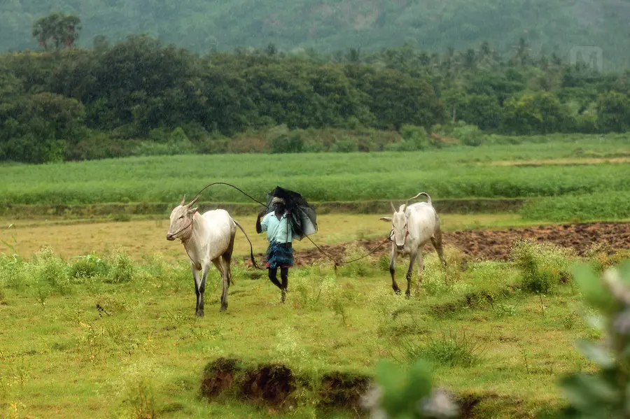 പുരാതനക്ഷേത്രങ്ങള്, കാര്ഷിക സമൃദ്ധി, കിടിലന് രുചികള്; തെങ്കാശിക്കാറ്റ് വിളിക്കുന്നു...