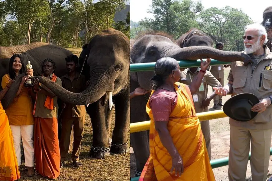 ഓസ്കര് തിളക്കത്തില് ബെള്ളിയും ബൊമ്മനും രഘുവും ബൊമ്മിയും; കാണാനെത്തി പ്രധാനമന്ത്രി