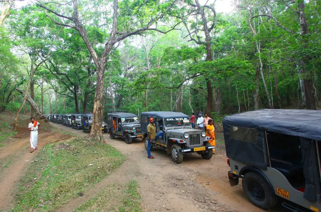 മംഗളാദേവിയിലേക്കുള്ള യാത്ര