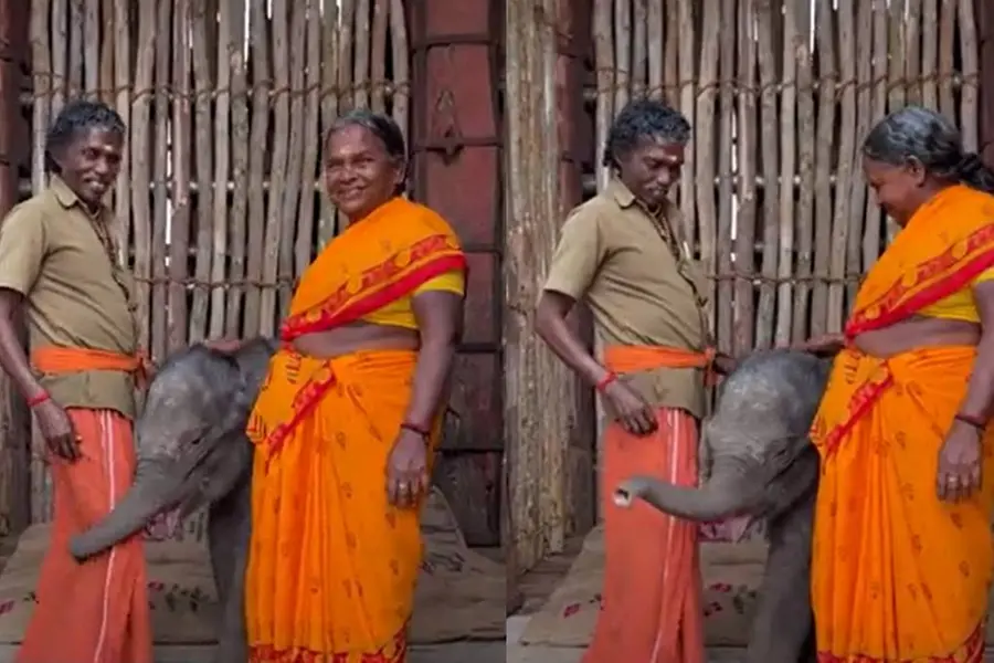 എലഫെന്റ് വിസ്പറേഴ്‌സിന്റെ നിര്‍മാതാക്കളോട് രണ്ടു കോടി ആവശ്യപ്പെട്ട് ബെല്ലിയും ബൊമ്മനും