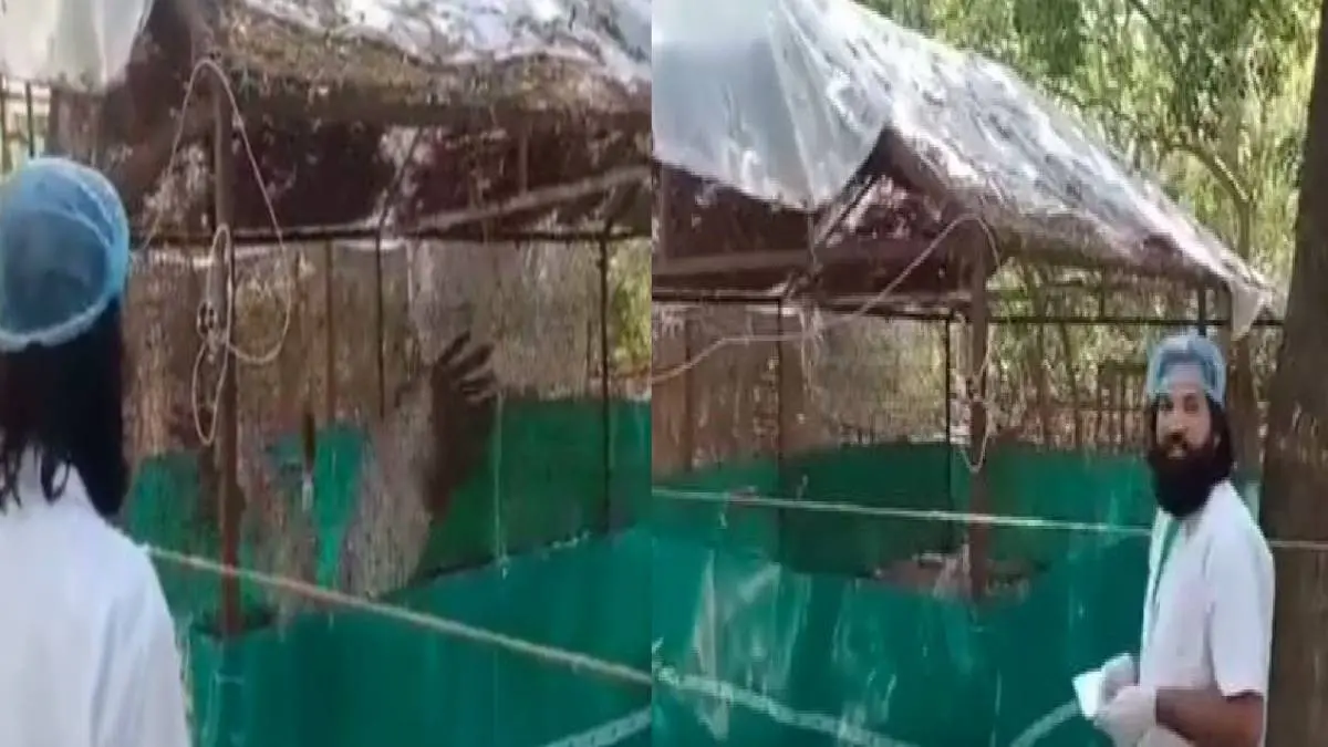 മുഹമ്മദ് ആരിഫിനെ കണ്ട സന്തോഷത്തിൽ സാരസ് കൊക്ക്, സമീപം മുഹമ്മദ് ആരിഫ് | Photo: twitter.com/kailashnathsp