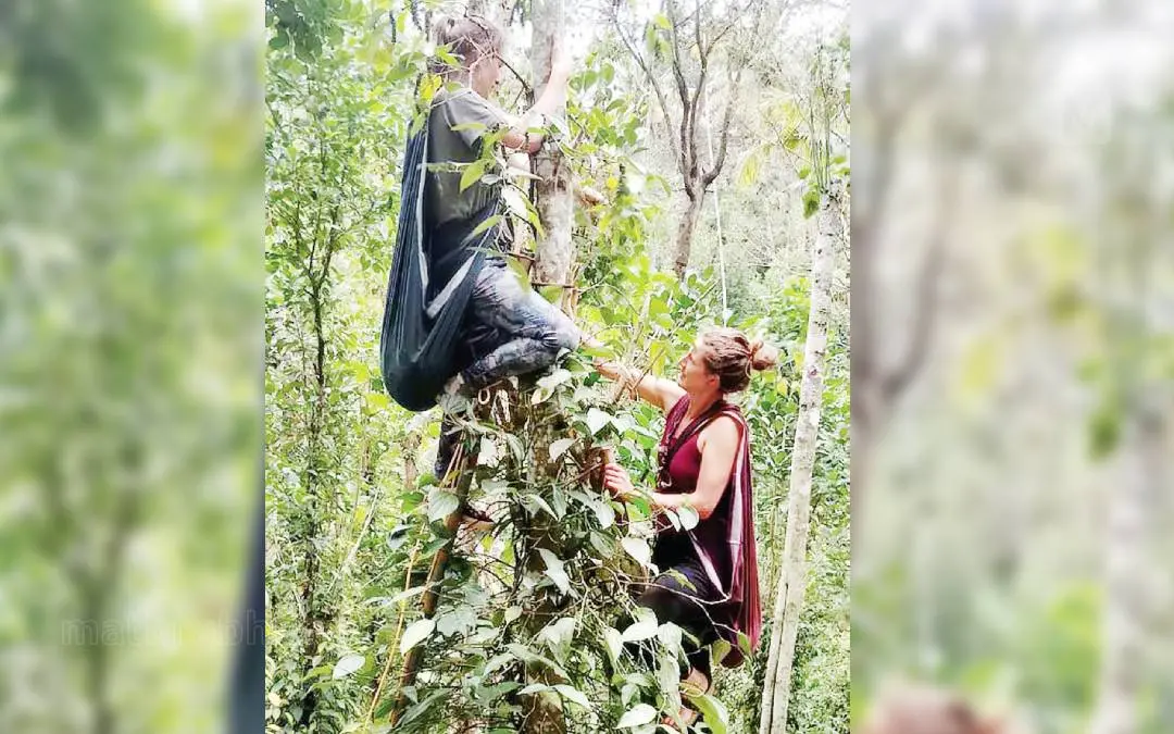 പ്രതീകാത്മക ചിത്രം