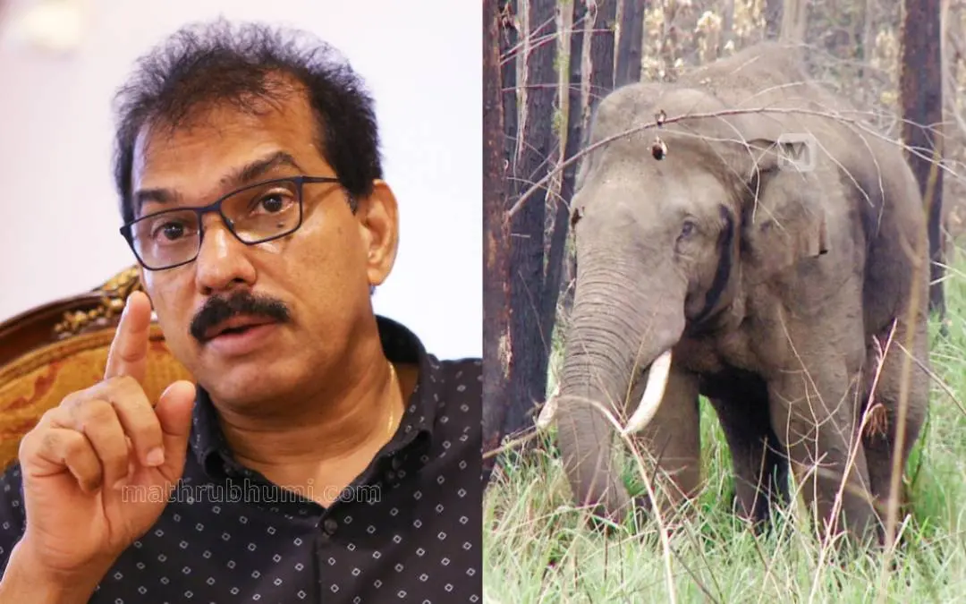 സാബു എം. ജേക്കബ്, അരിക്കൊമ്പന് | Photo: Mathrubhumi