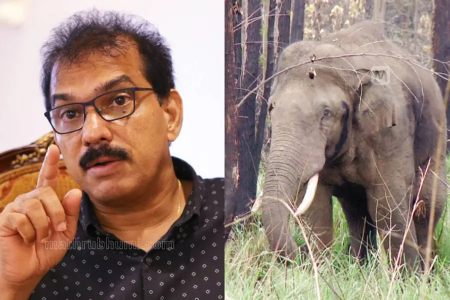 അരിക്കൊമ്പന് സുരക്ഷയും ചികിത്സയും ഉറപ്പാക്കണം; ഹൈക്കോടതിയില് ഹര്ജിയുമായി സാബു എം ജേക്കബ്