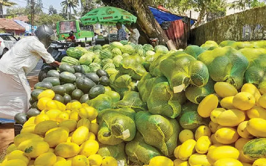 കരിക്കോട് പഴയ ബസ് സ്റ്റാന്ഡിനു സമീപത്ത് വില്പ്പനയ്ക്കായി എത്തിച്ച തണ്ണിമത്തനുകള്