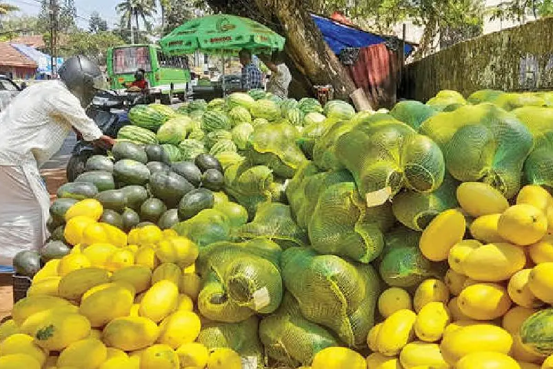 തണ്ണിമത്തന് ദിനങ്ങള്; വിപണിയില് താരമായി 'നാന്താരിയും കിരണും', ദിവസവും ലോഡുകണക്കിന് ഇറക്കുമതി