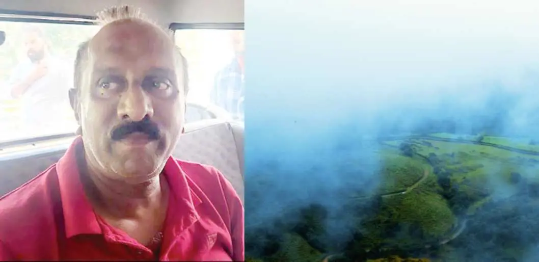 ജോളി സ്റ്റീഫൻ