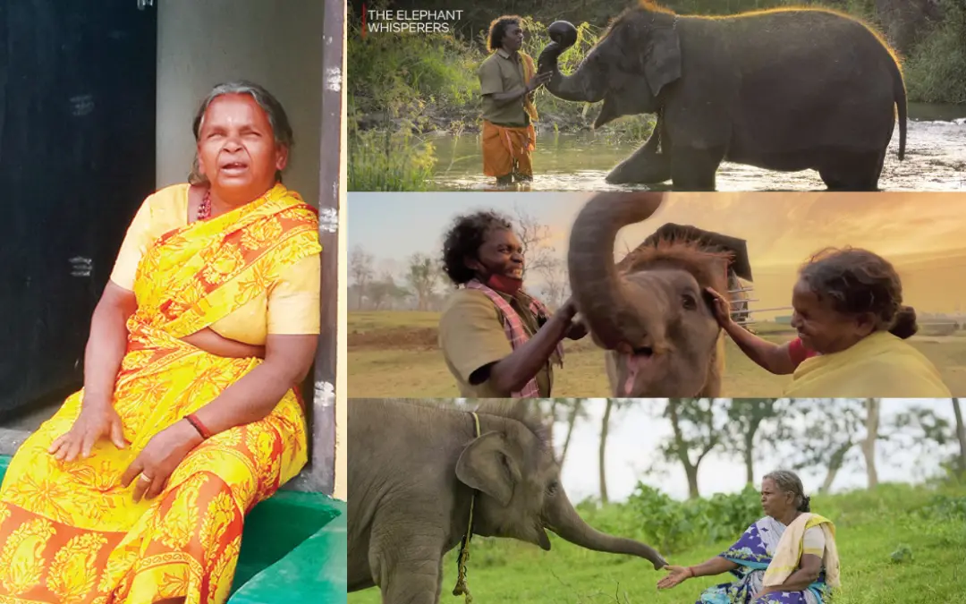 ബെള്ളി, ദ എലിഫന്റ് വിസ്പറേഴ്സ് സിനിമയുടെ പോസ്റ്റർ | ഫോട്ടോ: മാതൃഭൂമി, twitter.com/NetflixIndia