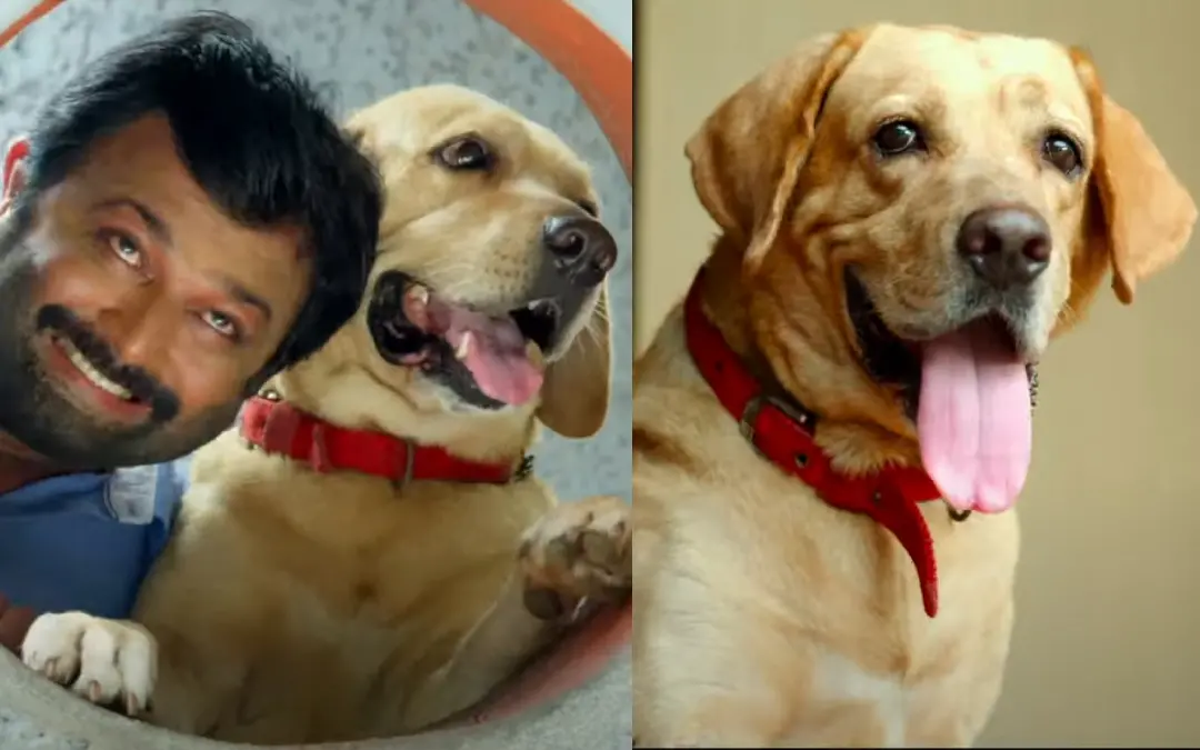 ലെയ്ക്ക ട്രെയിലറിൽ നിന്ന് | ഫോട്ടോ: സ്ക്രീൻഗ്രാബ്