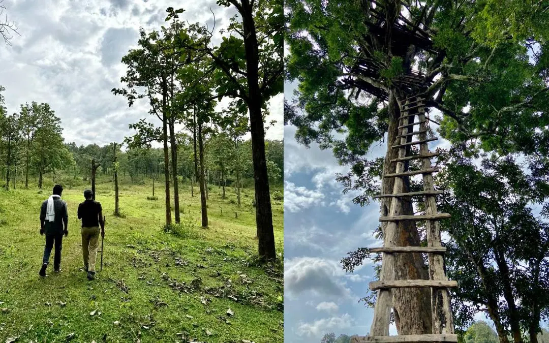 കാടിന്റെ വന്യതകളിലേക്ക്