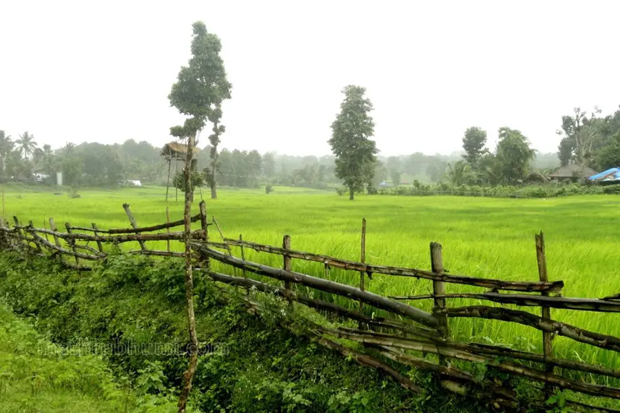 മച്ചൂര് വനഗ്രാമത്തിലേക്ക്; കബനി അതിരിടുന്ന കന്നഡ നാട്ടിലെ കൊല്ലങ്കോടന് കാഴ്ചകള്