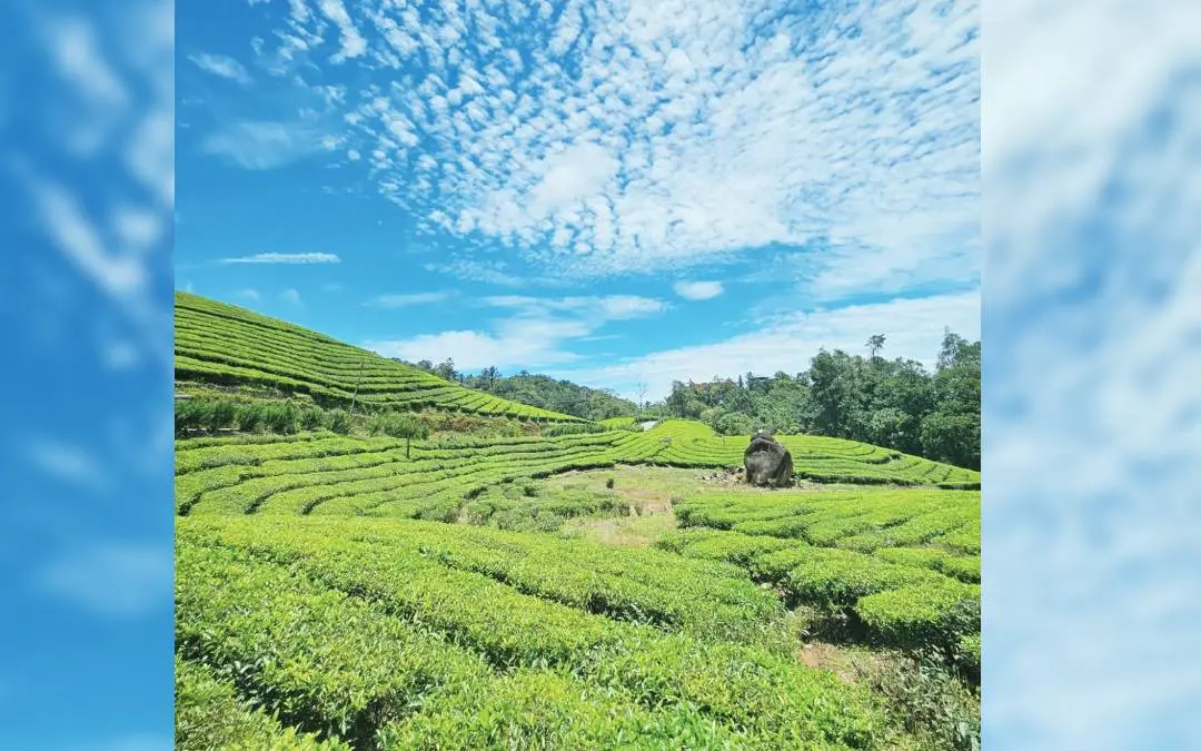 കൈനഗിരി