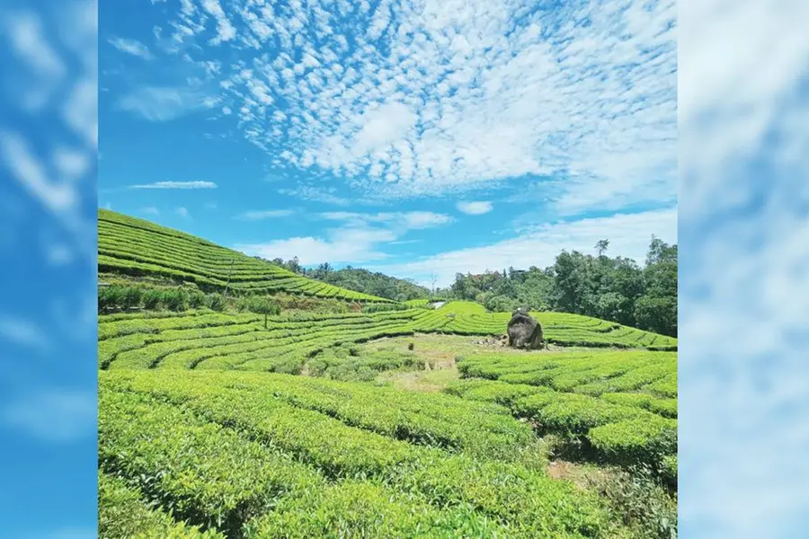മാങ്കുളത്തിന്റെ കവാടം; കൈനഗിരി പച്ചപ്പില് അലിയാം
