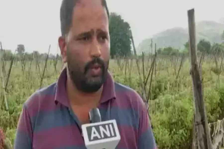 വീണ്ടും താരമായി തക്കാളി; പുണെയിലെ കര്ഷകന് ലഭിച്ചത് 2.8 കോടിരൂപ, ഇനിയും കിട്ടും മൂന്നരക്കോടിയോളം