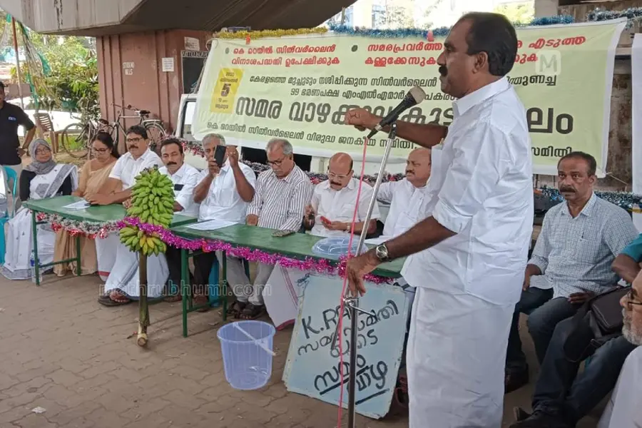 കെ-റെയില് വിരുദ്ധ സമരസമിതി നട്ട വാഴക്കുല ലേലത്തില് വിറ്റത് റെക്കോഡ് തുകയ്ക്ക്