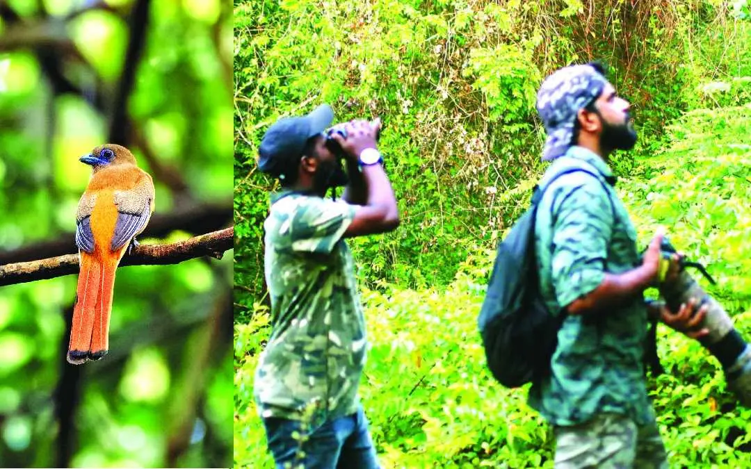 തീകാക്ക, പക്ഷിസങ്കേതത്തിലെ വനത്തിലുള്ളിൽ പക്ഷി നിരീക്ഷണം നടത്തുന്ന തിരുവനന്തപുരം വിമാനത്താവളം മെയിന്റനൻസ് വിഭാഗം എൻജിനീയറും പക്ഷി നിരീക്ഷകനുമായ ജോയൽ ജോയിയും പക്ഷിസങ്കേതം ഗൈഡുമായ അജിൽ ജോസും